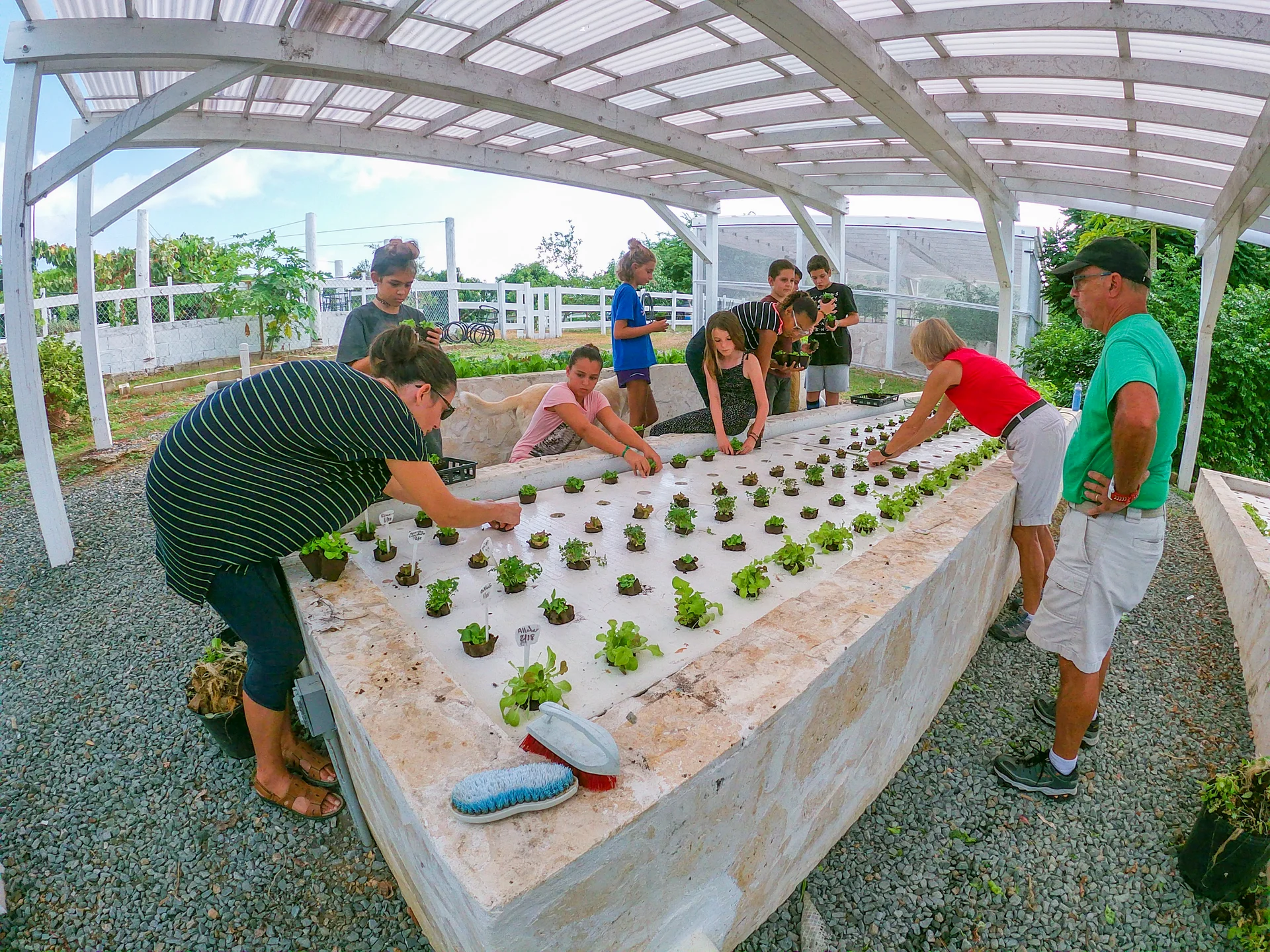 Abbie's New School 1