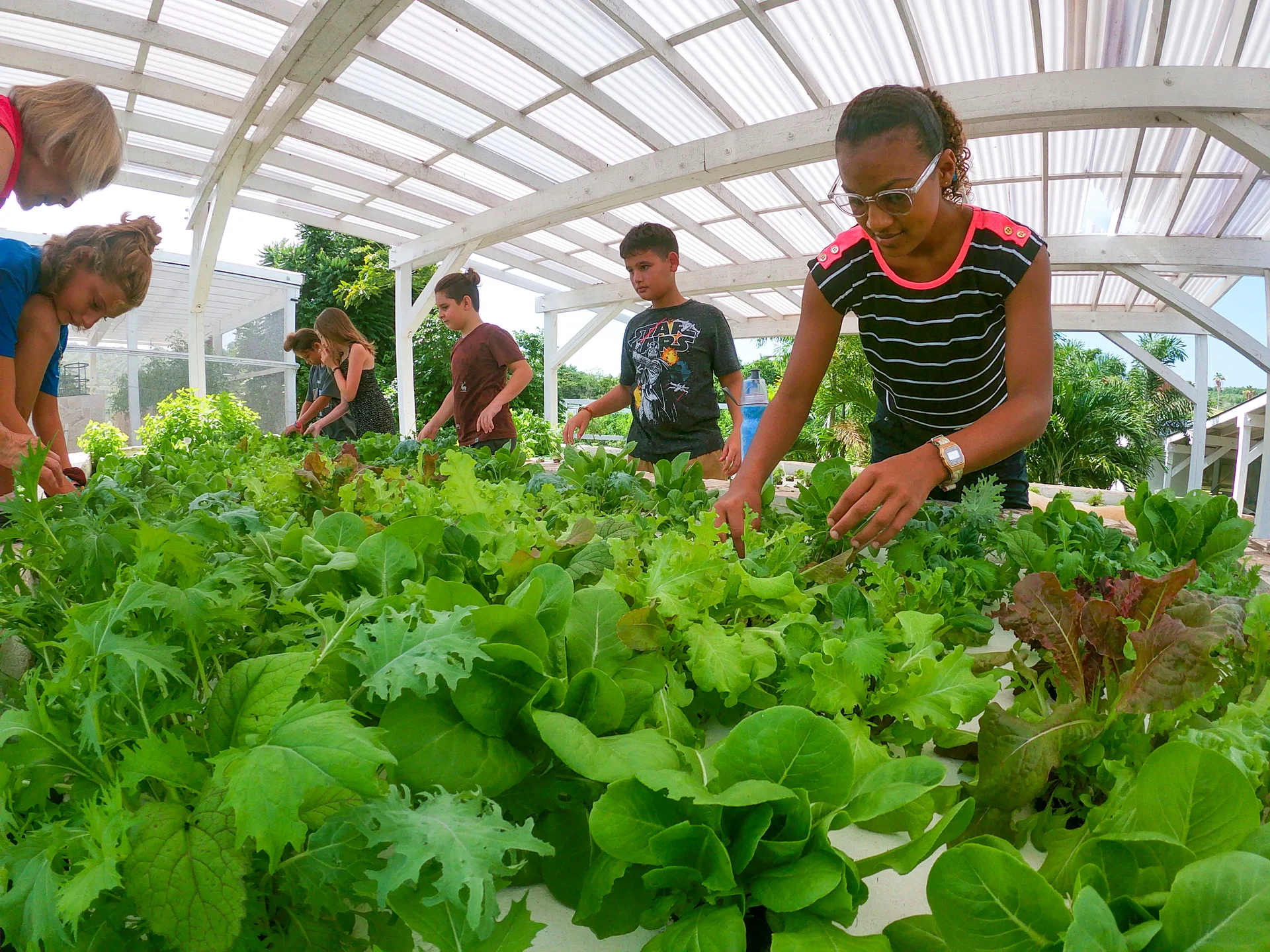 Abbie's New School 2